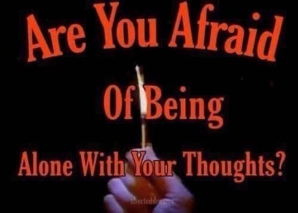 Random Memes (41 pics)