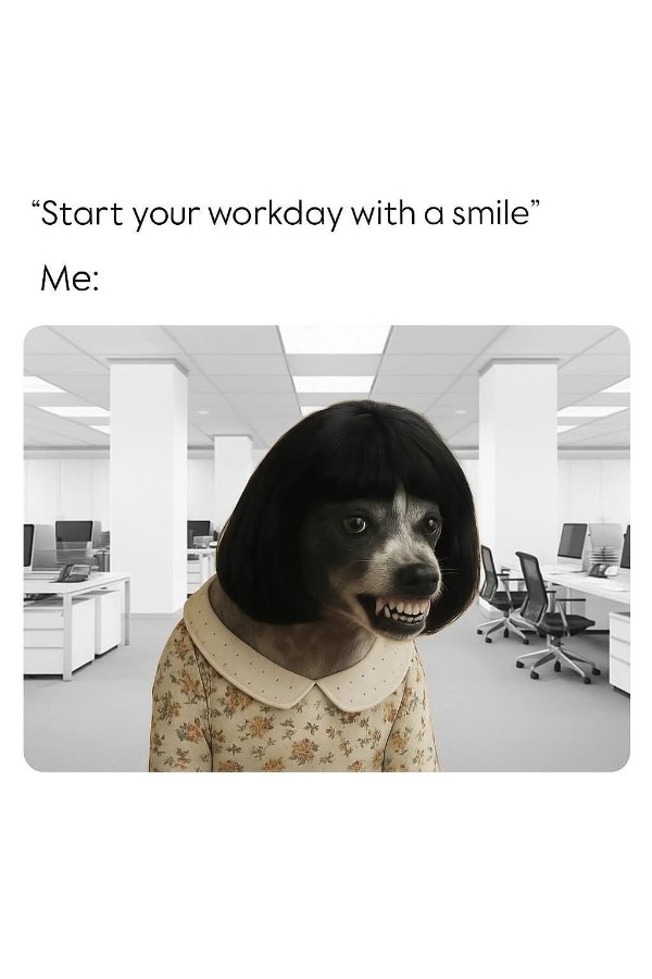 Work Memes (28 pics)