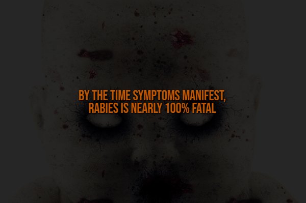 Creepy Facts (14 pics)