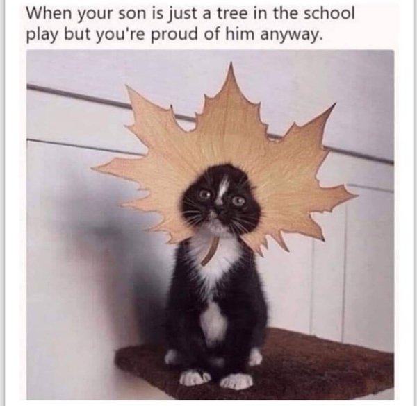 Jokes And Photos For Cats Lovers (38 pics) Jokes And Photos For Cats Lovers (38 pics)