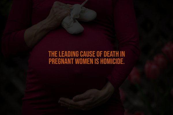 Creepy Facts (14 pics)