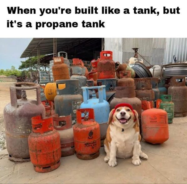 Hilarious Jokes (30 pics)