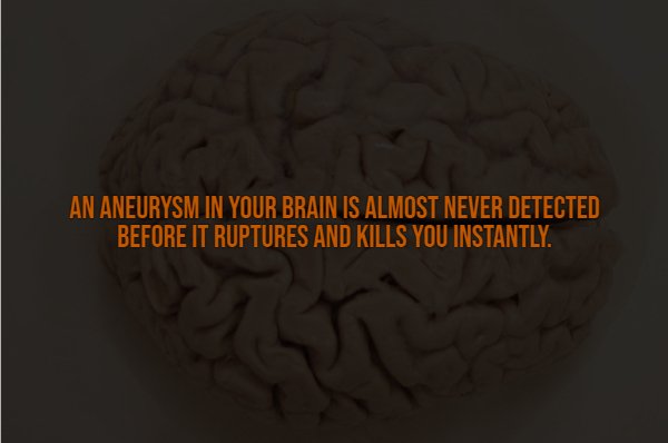 Creepy Facts (14 pics)