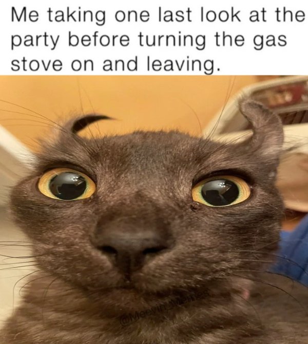 Hilarious Jokes (30 pics)