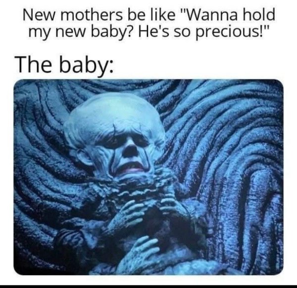 Random Memes (41 pics)