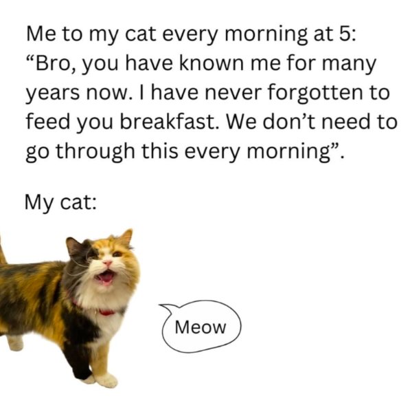 Jokes And Photos For Cats Lovers (38 pics) Jokes And Photos For Cats Lovers (38 pics)