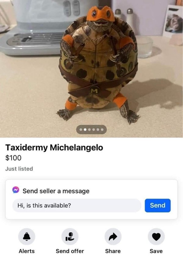 Random Memes (41 pics)