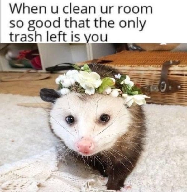 Random Memes (41 pics)