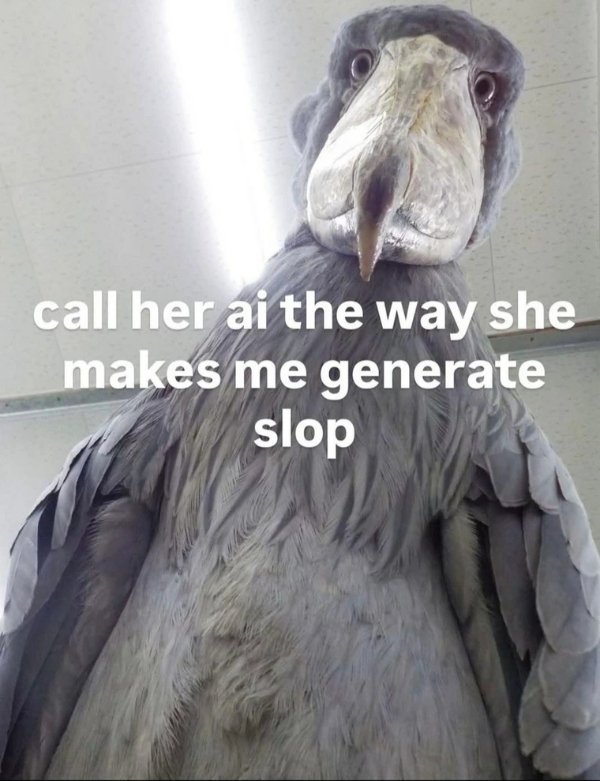 Hilarious Jokes (30 pics)