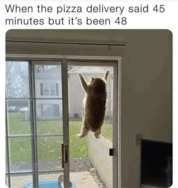 Jokes And Photos For Cats Lovers (38 pics) Jokes And Photos For Cats Lovers (38 pics)