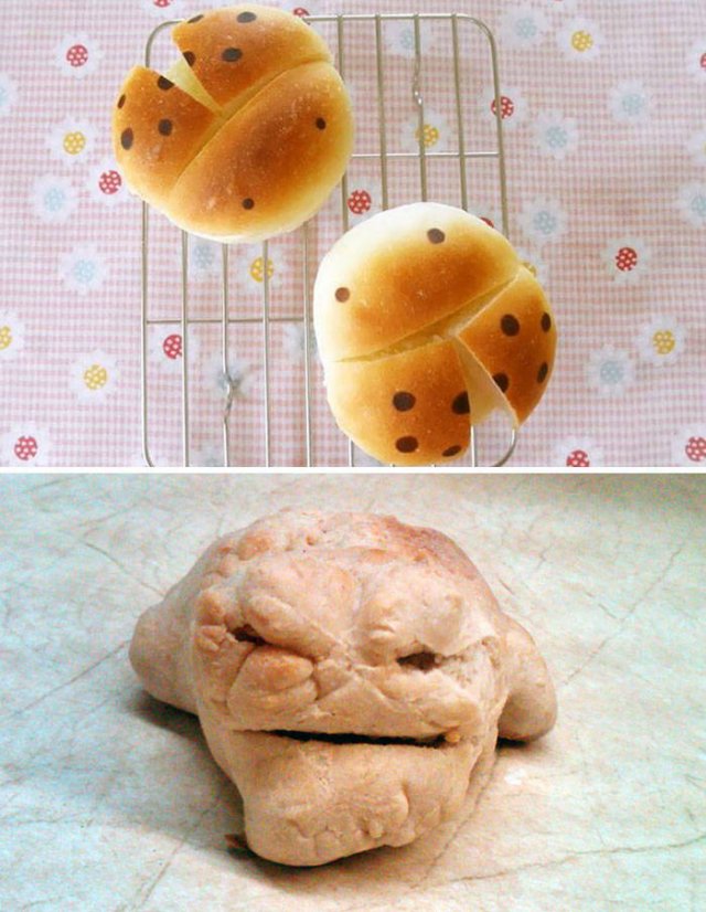 Kitchen Failures (47 pics)