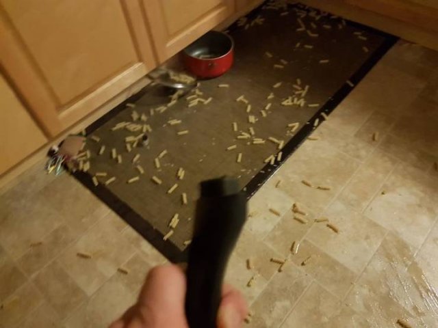 Kitchen Failures (47 pics)