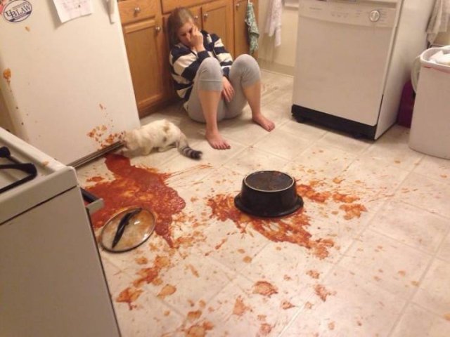 Kitchen Failures (47 pics)