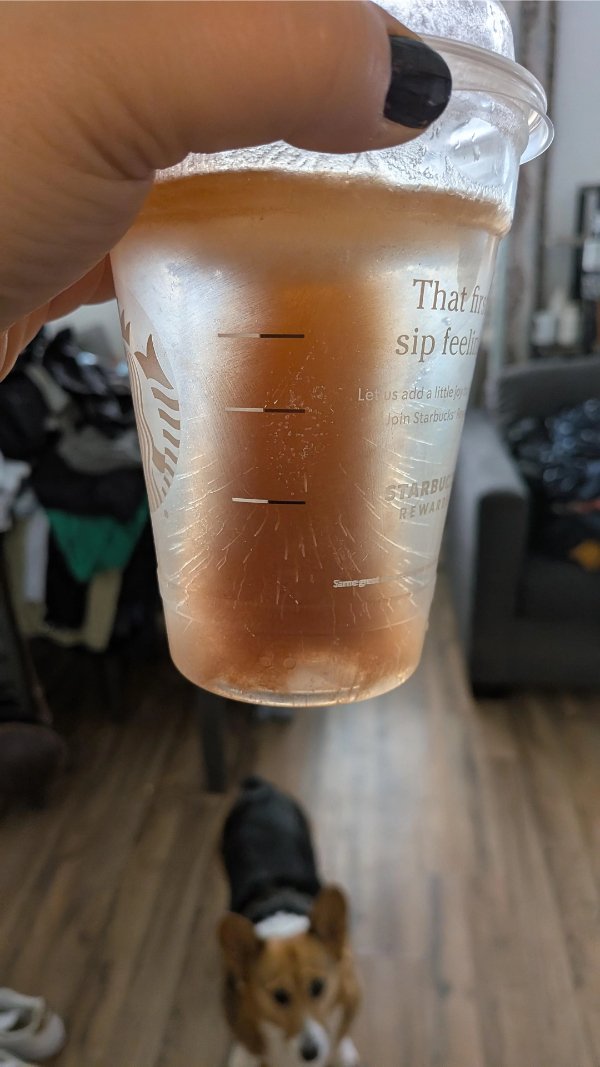 Interesting Finds (25 pics)