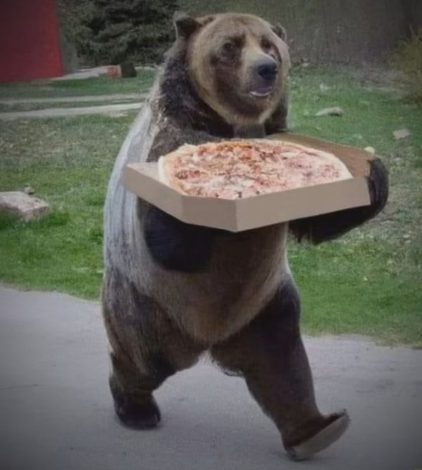 Funny Animals (27 pics) Funny Animals (27 pics)