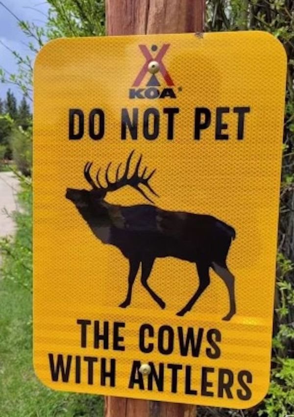 Random Jokes (31 pics)