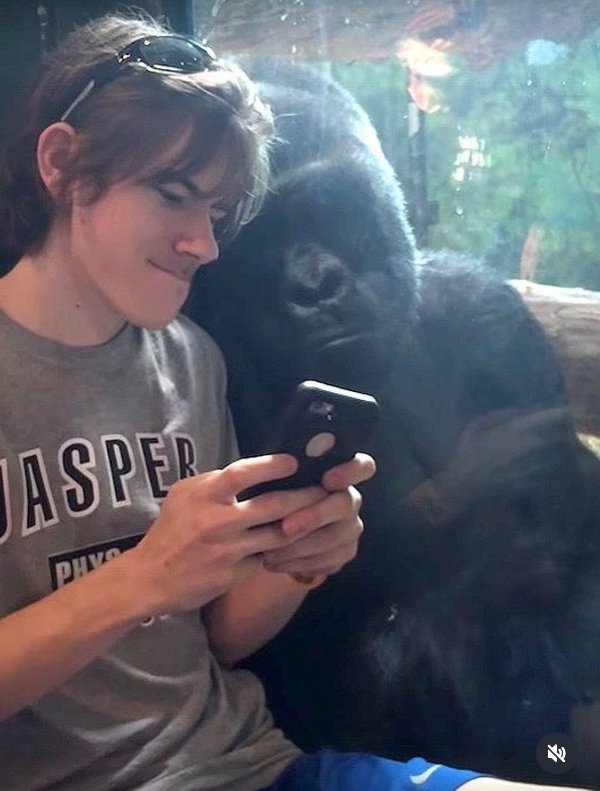 Funny Animals (27 pics) Funny Animals (27 pics)