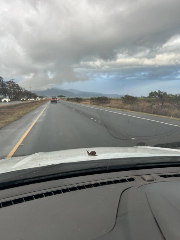 Interesting Finds (25 pics)