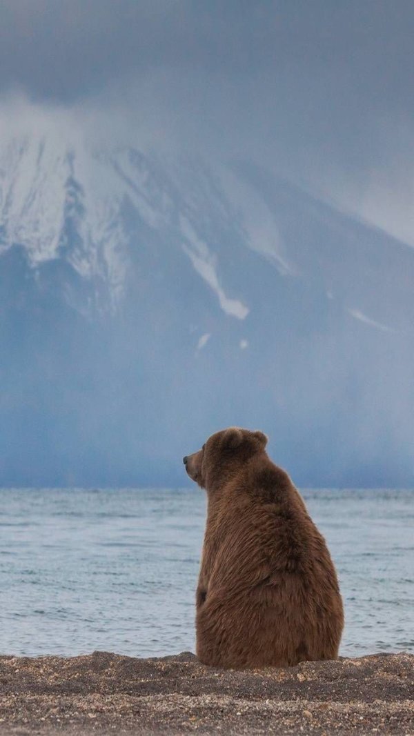 Funny Animals (27 pics) Funny Animals (27 pics)