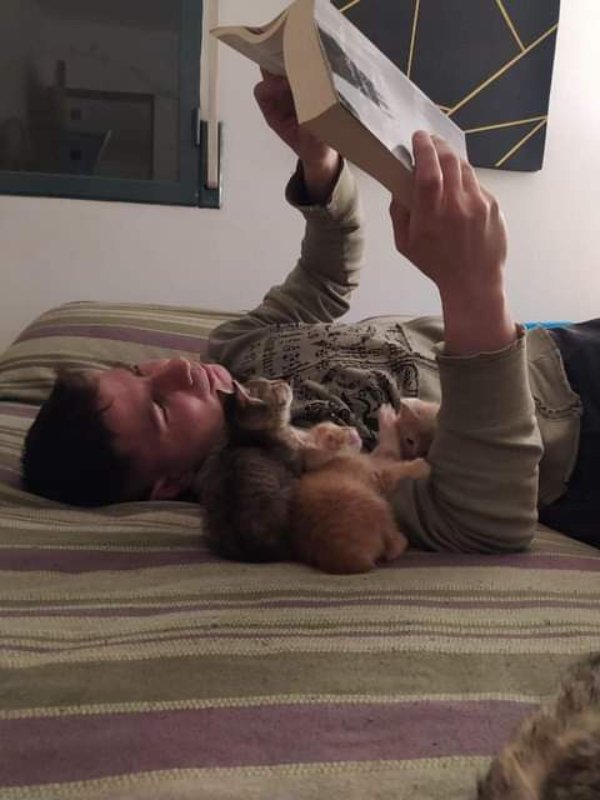 Funny Animals (27 pics) Funny Animals (27 pics)