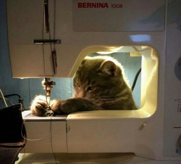 Funny Animals (27 pics) Funny Animals (27 pics)