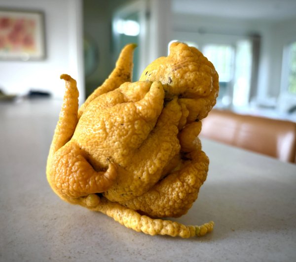 Interesting Finds (25 pics)