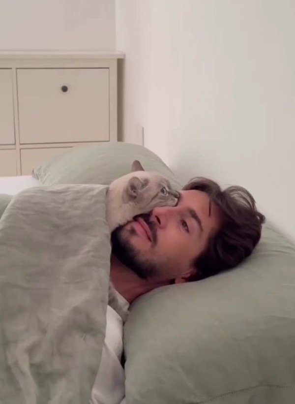 Funny Animals (27 pics) Funny Animals (27 pics)