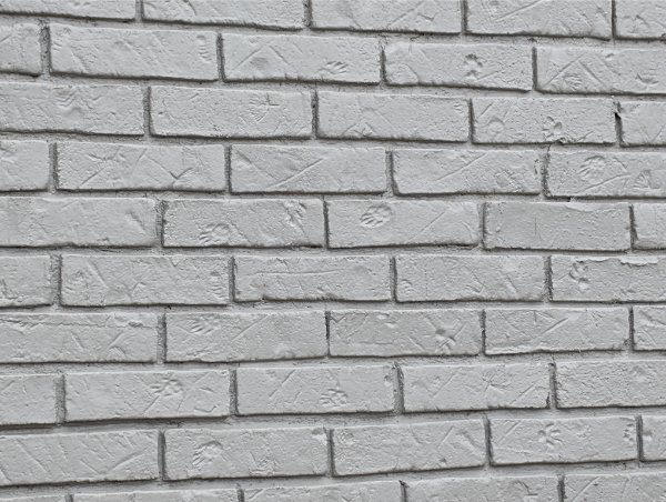 Interesting Finds (25 pics)