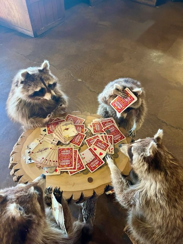 Funny Animals (27 pics) Funny Animals (27 pics)