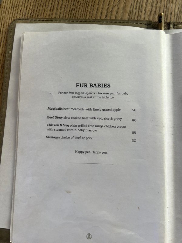 Interesting Finds (25 pics)