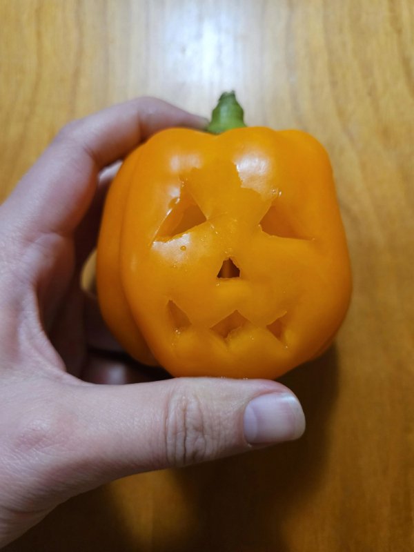 Interesting Finds (25 pics)