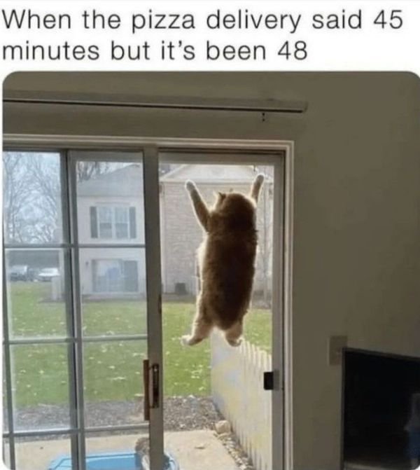 Random Jokes (31 pics)