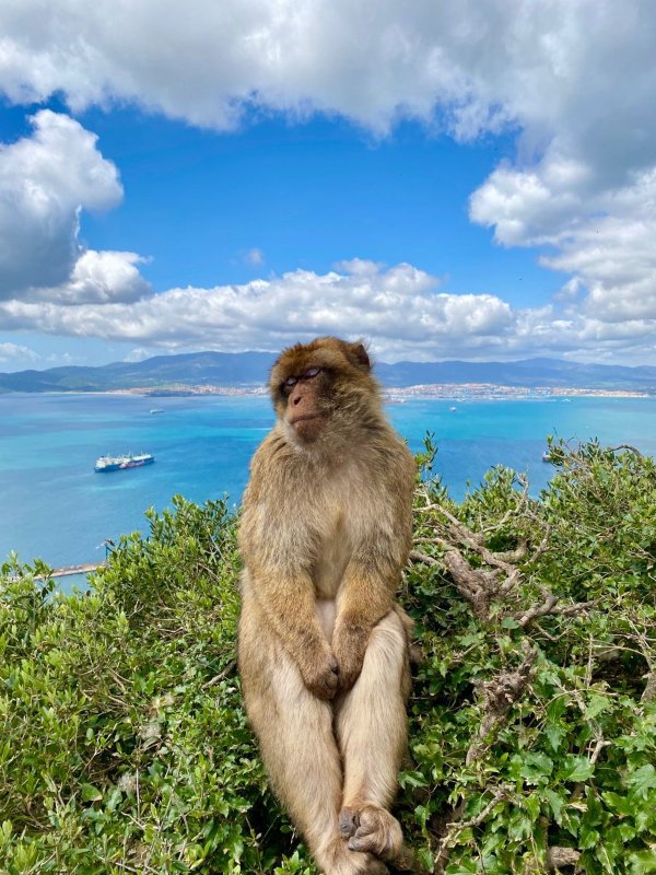 Funny Animals (27 pics) Funny Animals (27 pics)