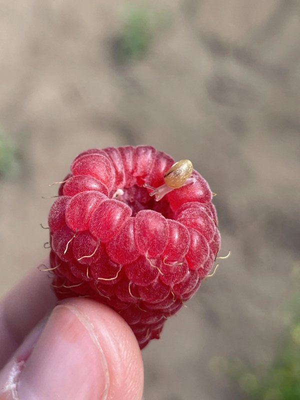 Interesting Finds (25 pics)