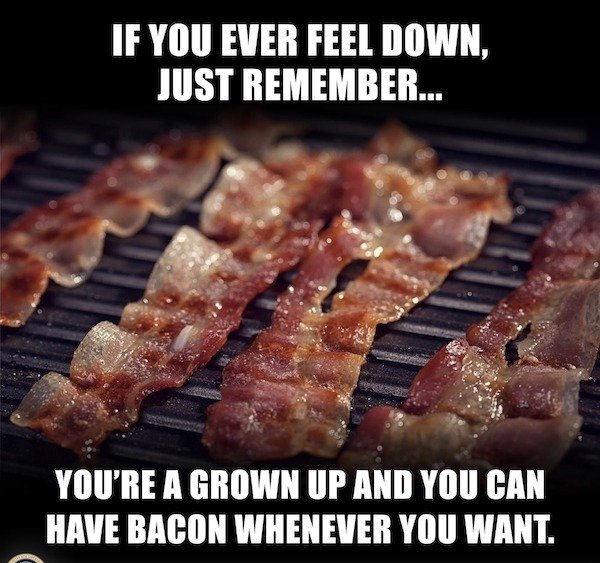 Random Jokes (31 pics)