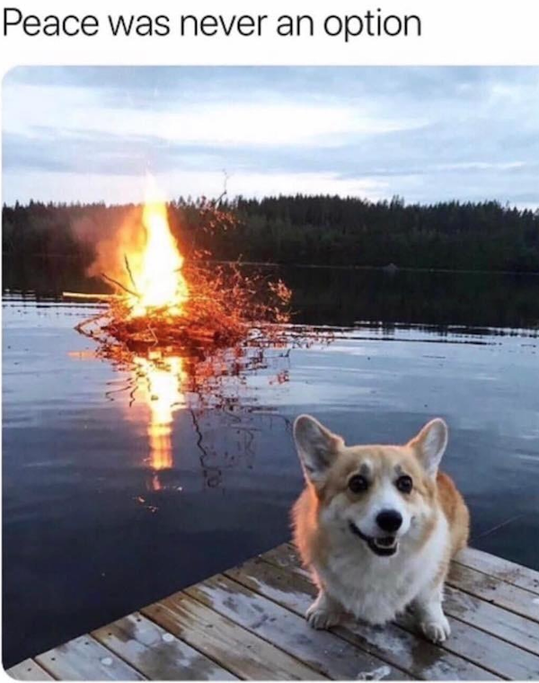 Random Jokes (31 pics)