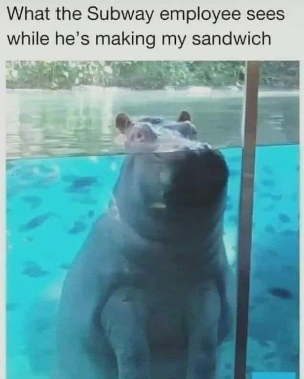 Random Jokes (31 pics)