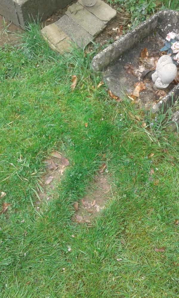 Interesting Finds (25 pics)