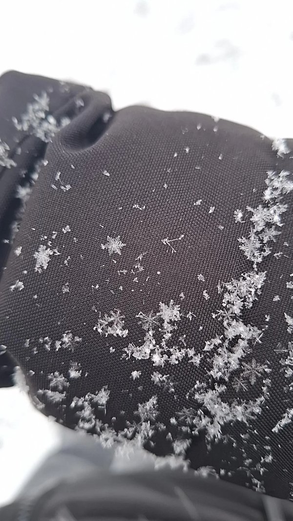 Interesting Finds (25 pics)