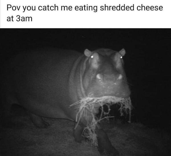 Random Jokes (31 pics)