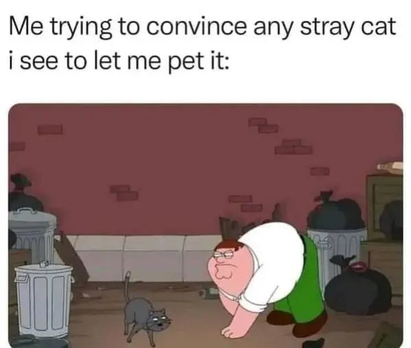 Truthful Memes (38 pics)