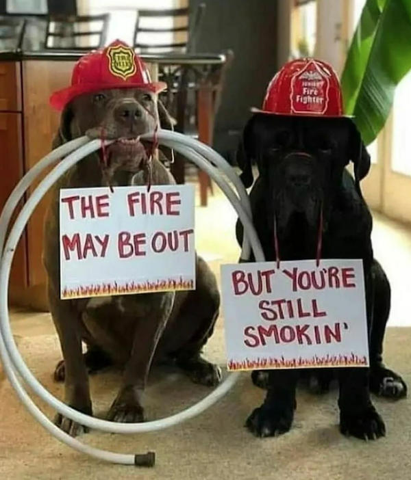 Funny Memes (32 pics)