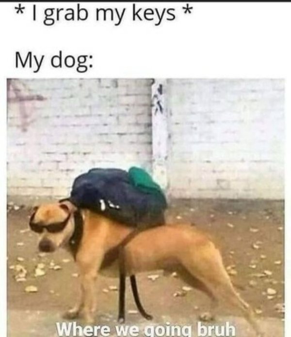 Truthful Memes (38 pics)