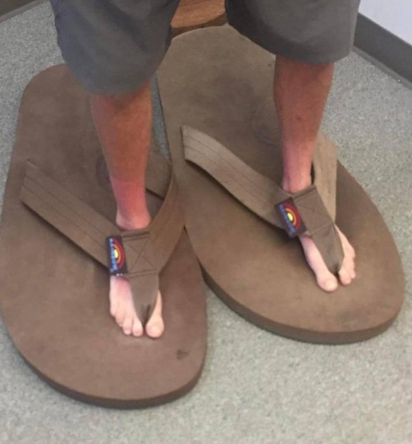 What Is Going On Here? (24 pics)