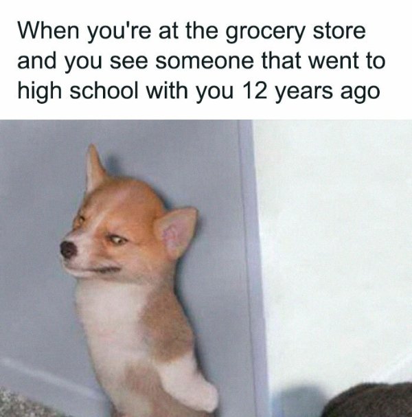 Truthful Memes (38 pics)