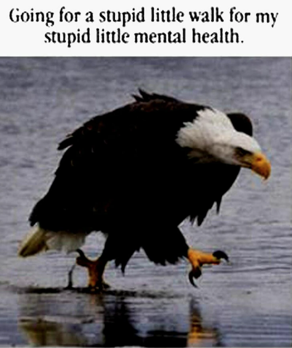 Funny Memes (32 pics)