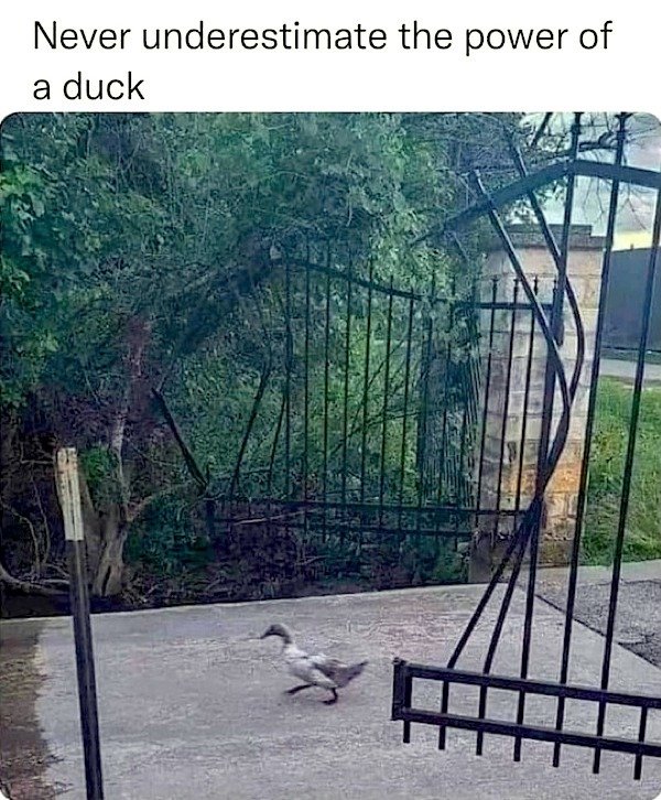 Funny Memes (35 pics) Funny Memes (35 pics)