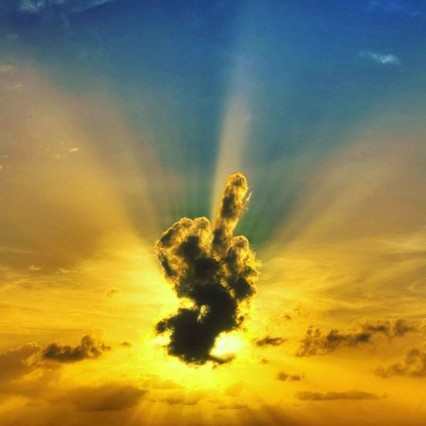 Photos For A Good Mood (27 pics)