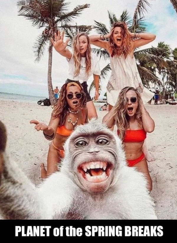 Funny Memes (35 pics) Funny Memes (35 pics)