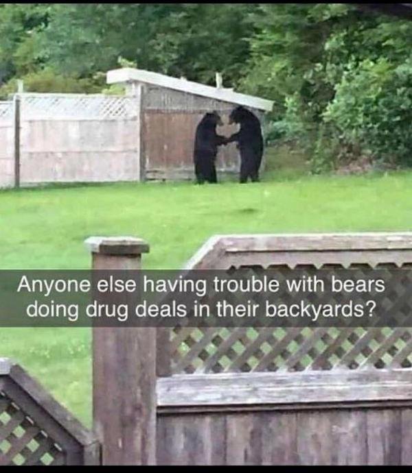 Funny Memes (35 pics) Funny Memes (35 pics)